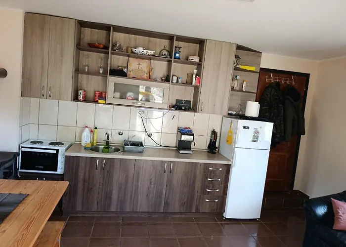 Milijin بيت للعطل Zaovine